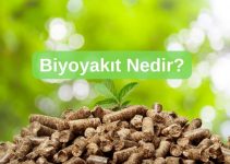 Biyoyakıt Nedir? Nerelerde Kullanılır? Biyoyakıt Nedir? Nerelerde Kullanılır?