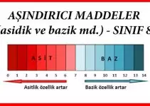 Aşındırıcı Madde İşareti- Tehlikeli Madde Etiketi 8 Aşındırıcı Madde İşareti- Tehlikeli Madde Etiketi 8