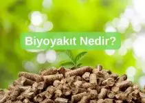 Biyoyakıt Nedir? Nerelerde Kullanılır? Biyoyakıt Nedir? Nerelerde Kullanılır?